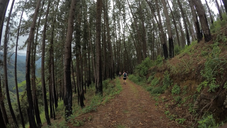 Muddy Trail 