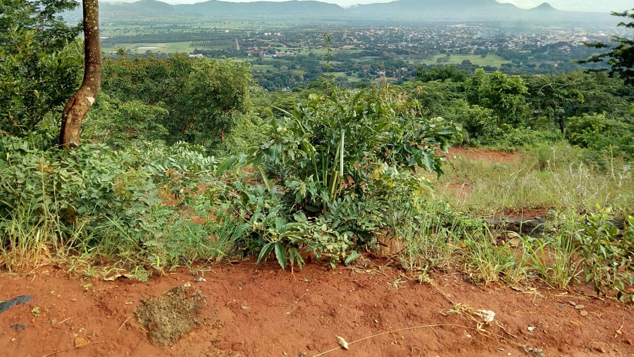 The Spectacular view of the Morogoro town from the highest altitudes of the Uluguru mountains