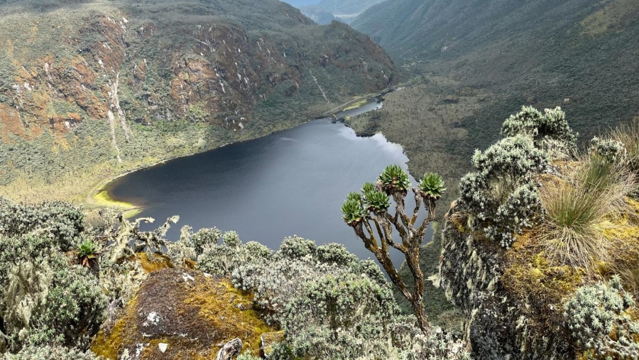 Rwenzori Mountains