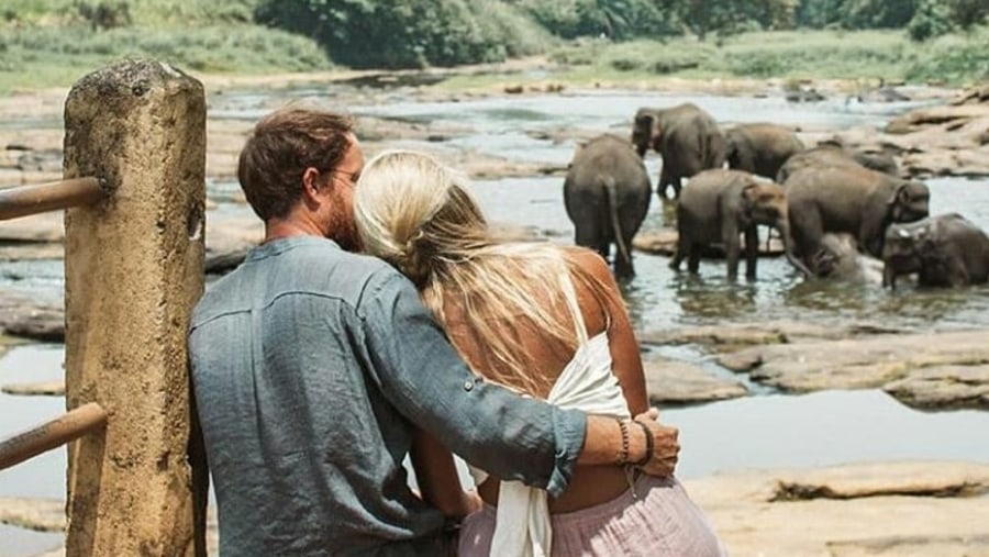 Spot Elephants with your Partner