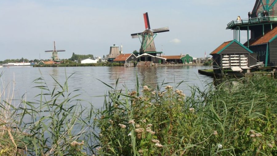 Zaanse Schans motif with 