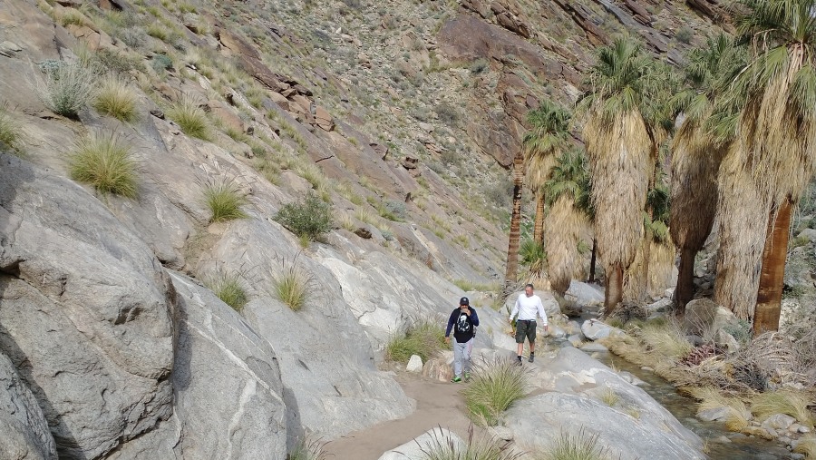 Travelers in Palm Springs