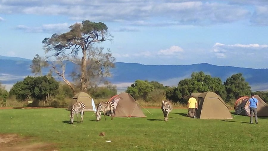 Simba Campsite