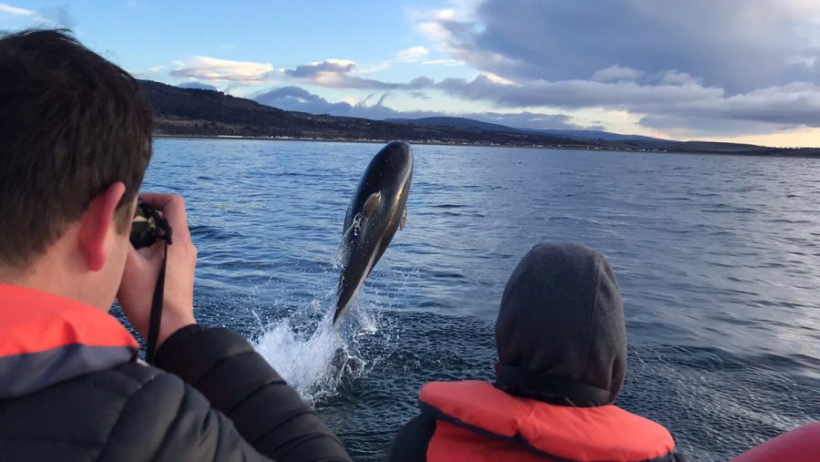 Travellers observing aquatic life