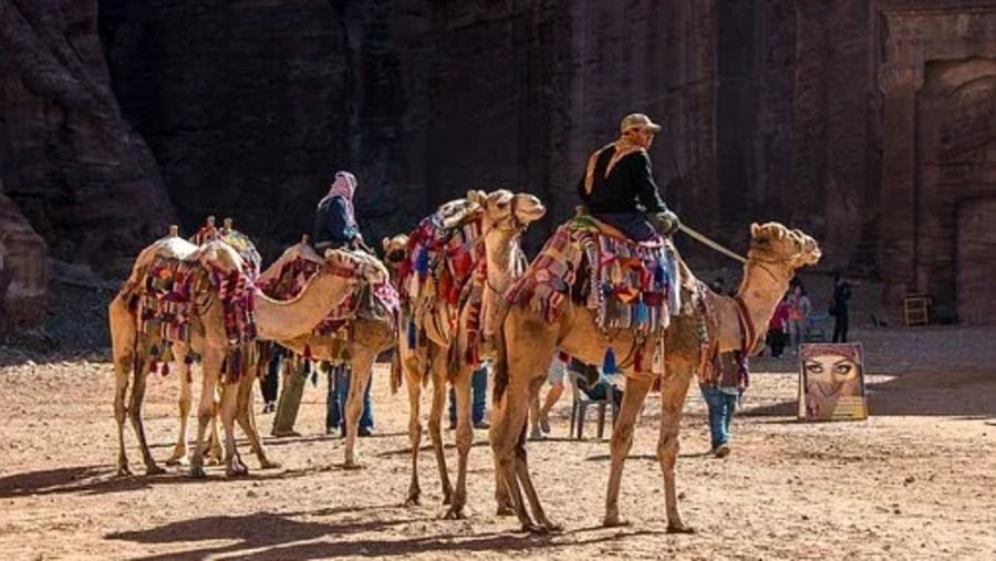 Camel safari in Petra