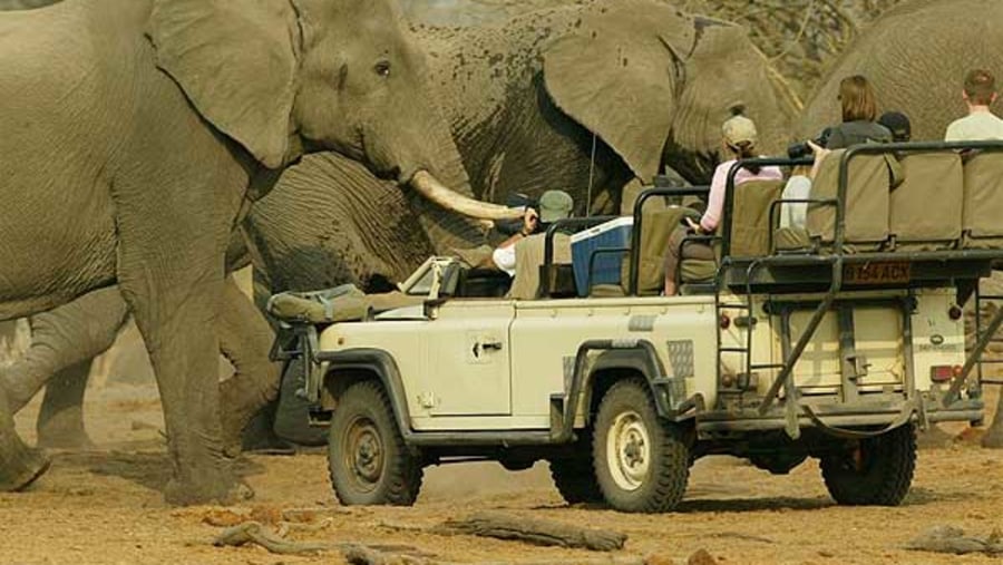 South Luangwa National Park, Zambia