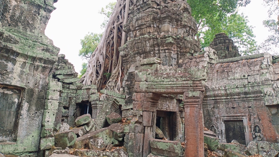 Ta Prohm