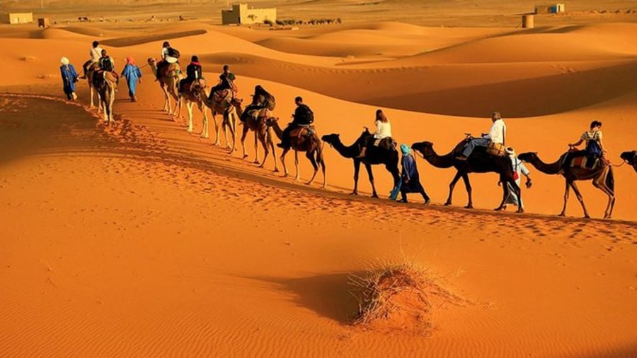 Camel Safari in Zagora