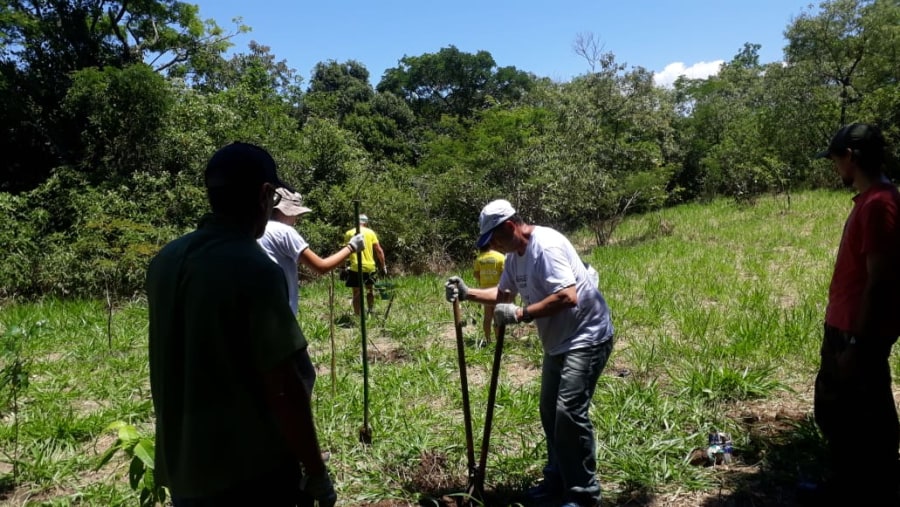 Volunteering in Niteroi