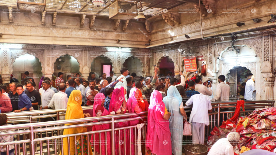 Temple Darshan in Bikaner