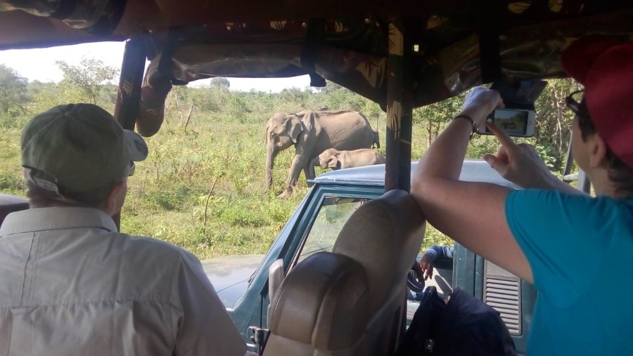 Yala National Park