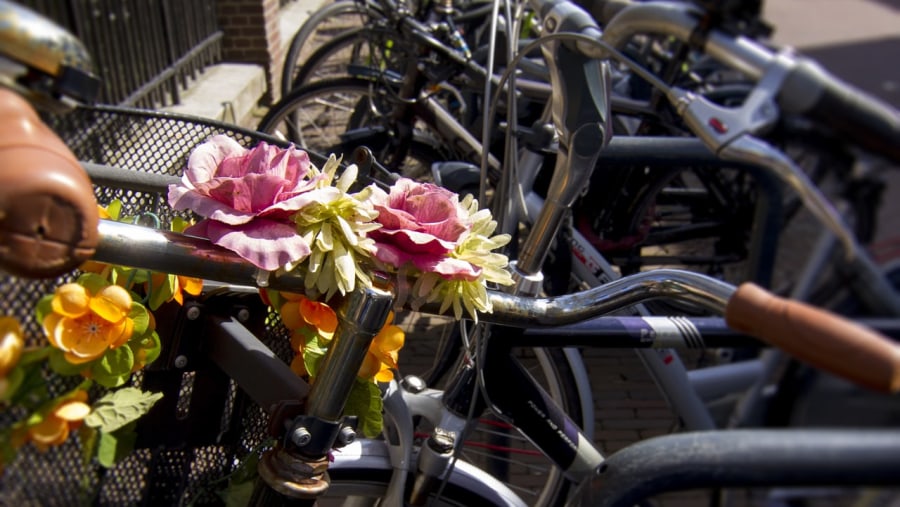 Cycle around Delft