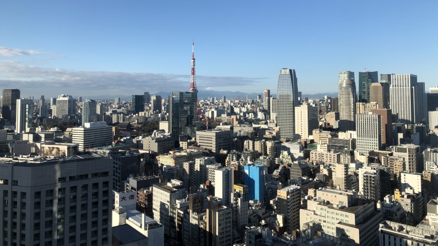 Enjoy a Tokyo Panorama