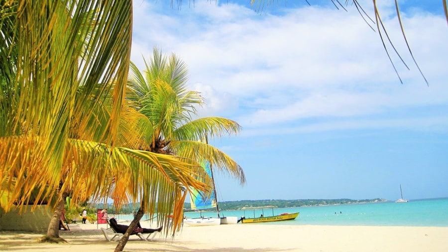 Tropical Trees And Beach And Jamaica