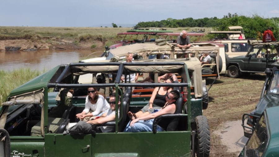 Banks of Mara River