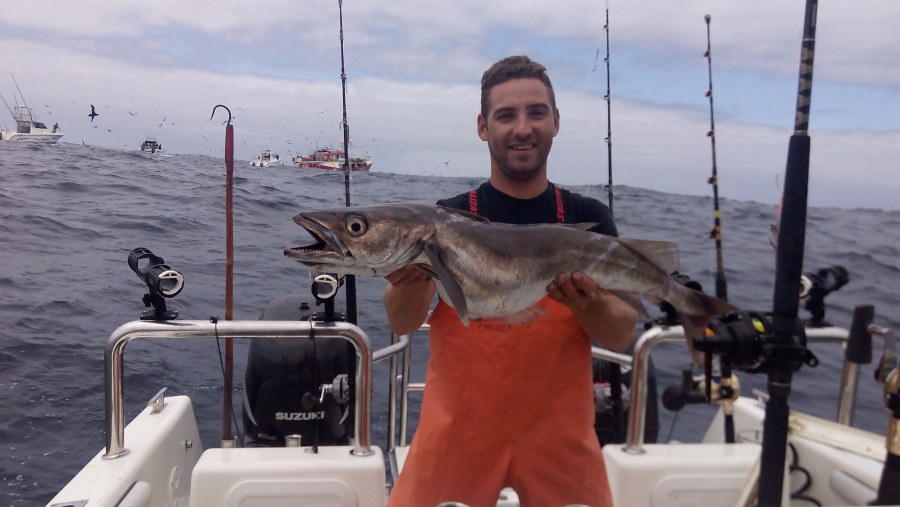 Fishing At Cape Point, South Africa