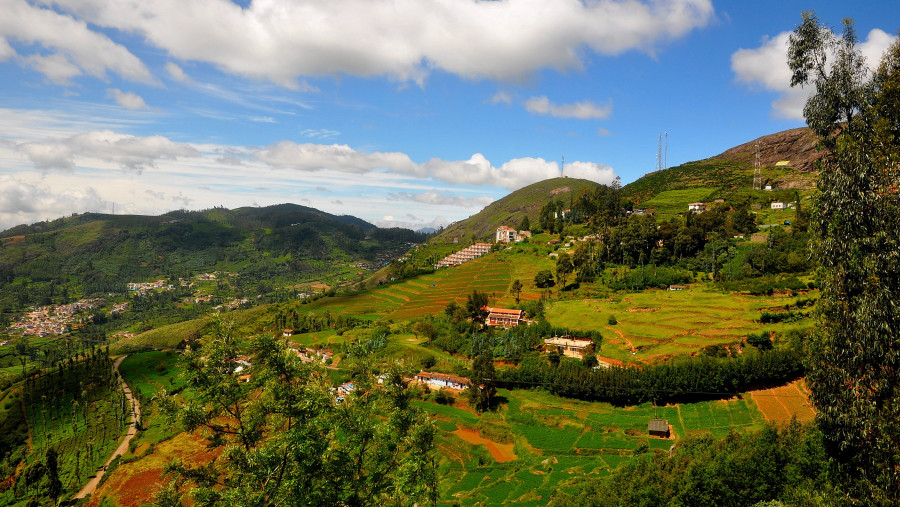 Landscape of Ooty