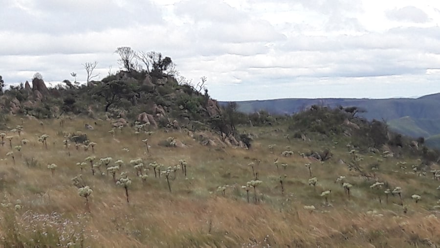 Serra da Calçada