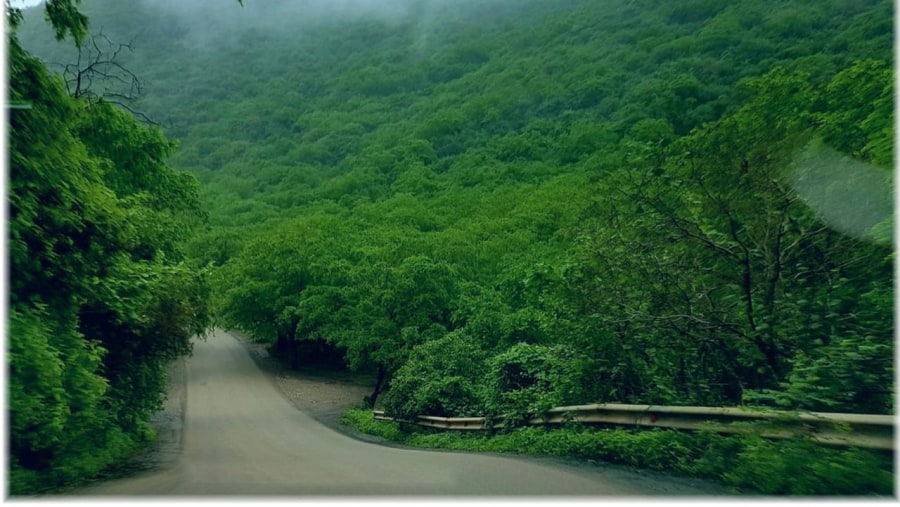 Sheer Road (Jungle Road), Salalah