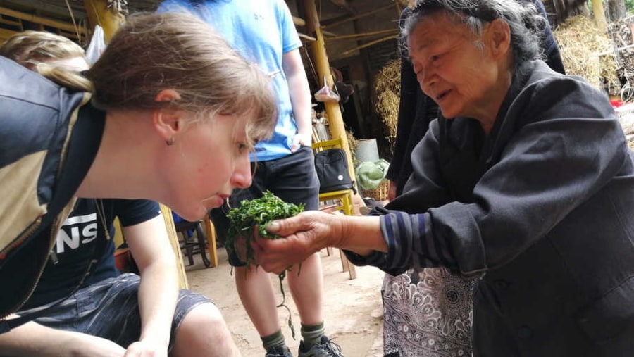 Smelling local herbs of China