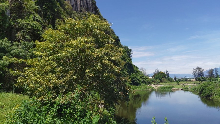 Admire the Vietnamese Countryside