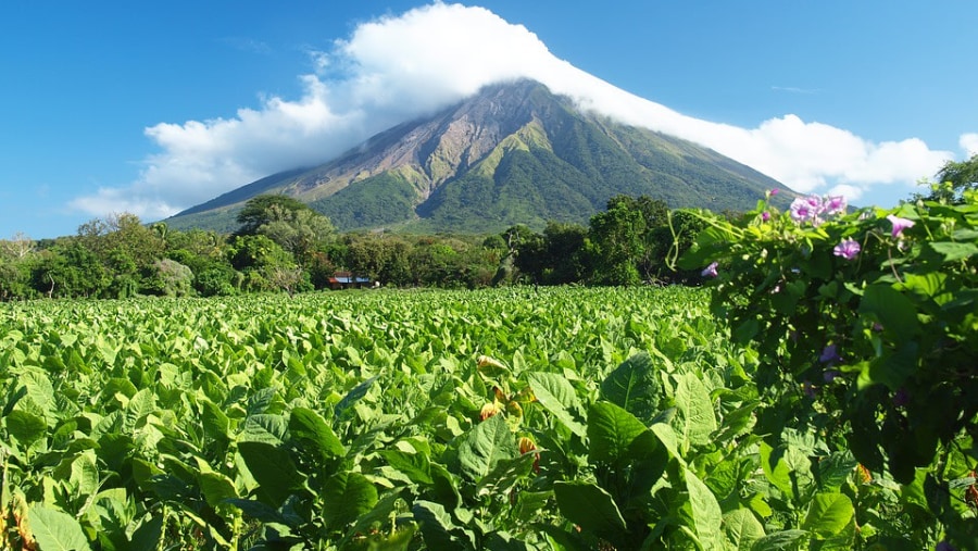 View of the volcano