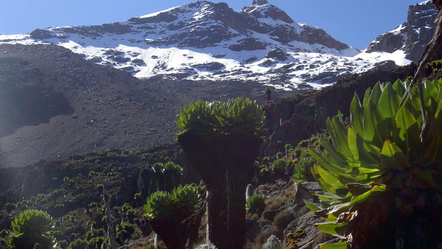 Marvel at the beauty of Point Lenana