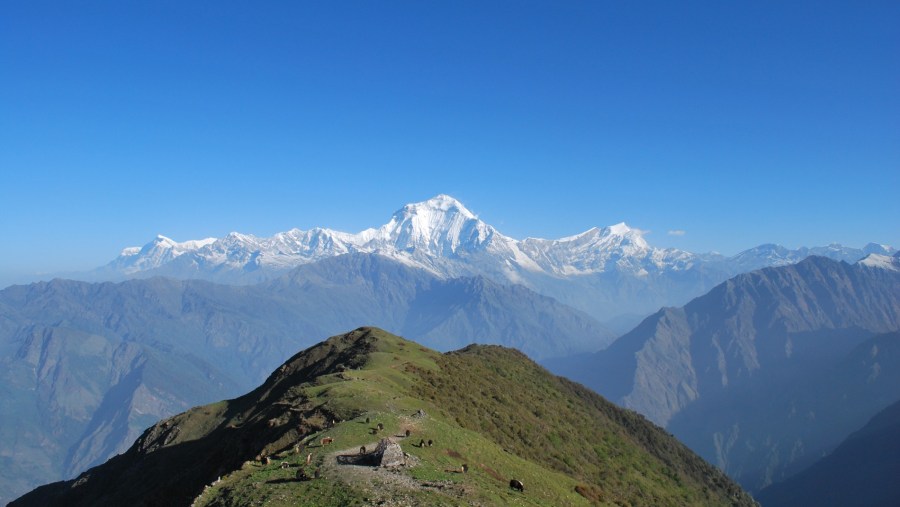 Dhaulagiri