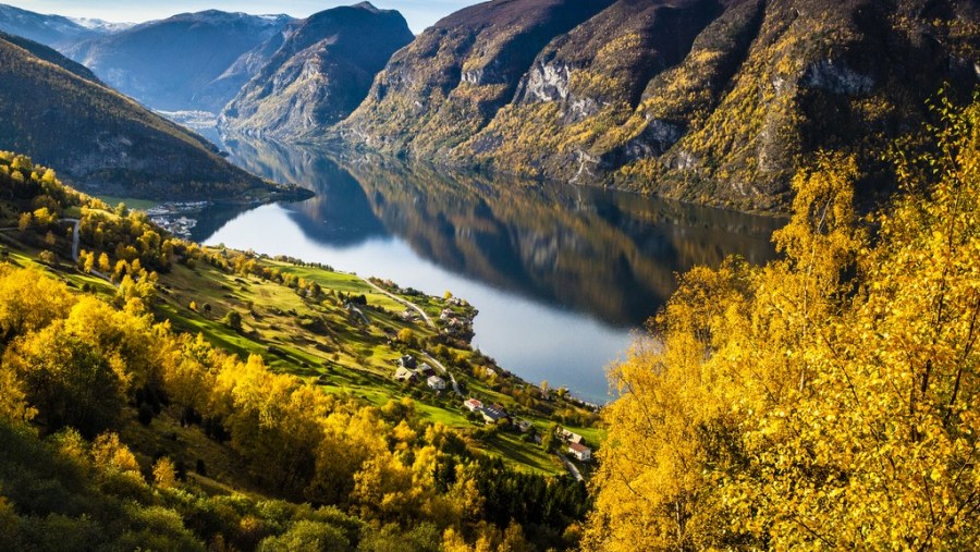 Experience Scenic Norwegian Fjords