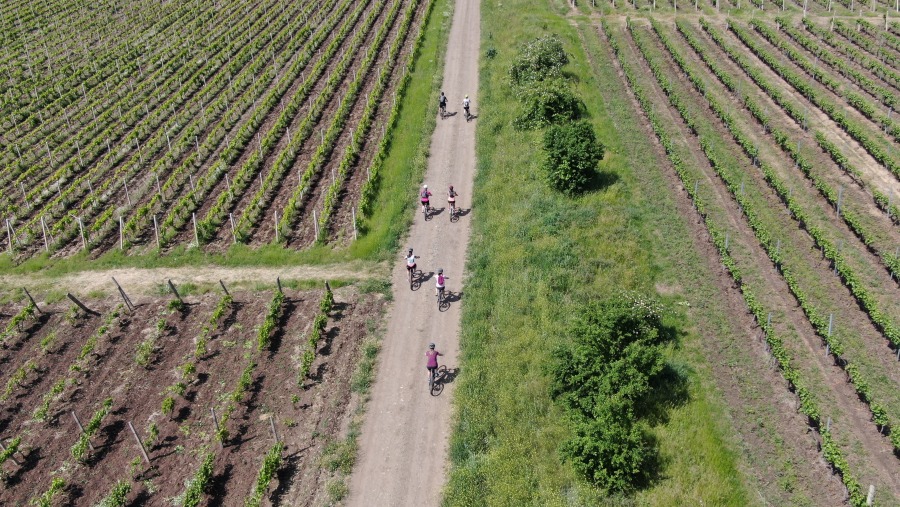 Travellers cycling