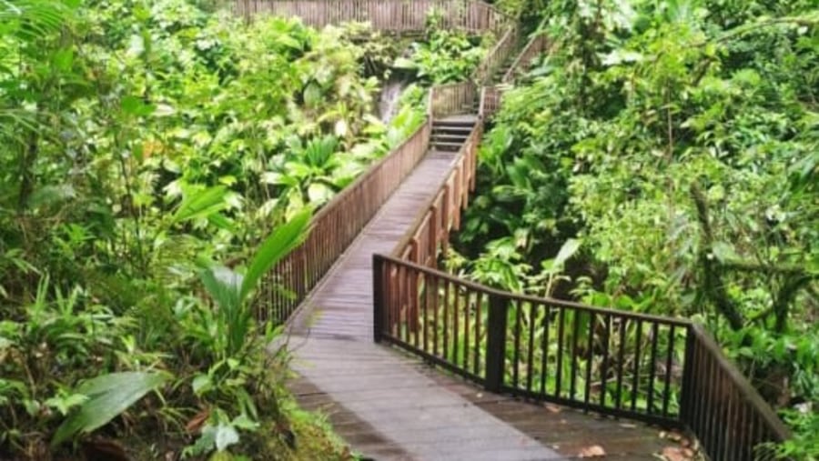 Decking for wheel chair acces at watter falls