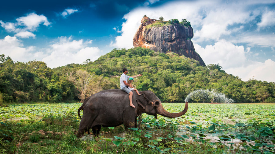 Elephant ride near Sigiriya Rock