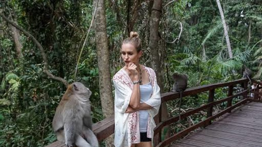 Visit the Monkey forest, Bali