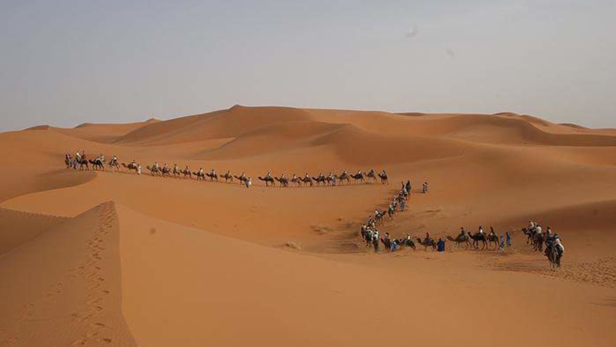 Camel Trek In Morocco