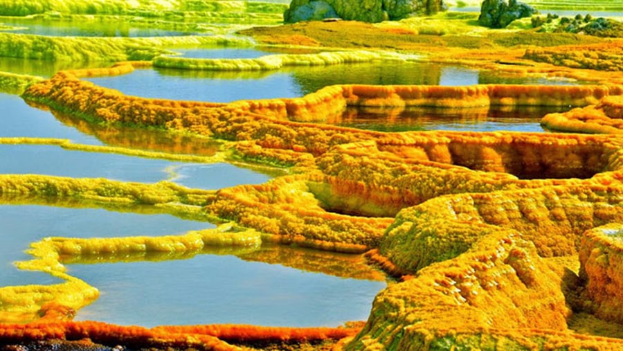 Volcanic Hydrothermal Fields