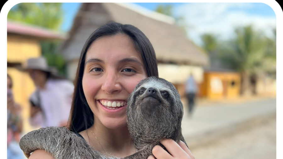 Traveller with a sloth