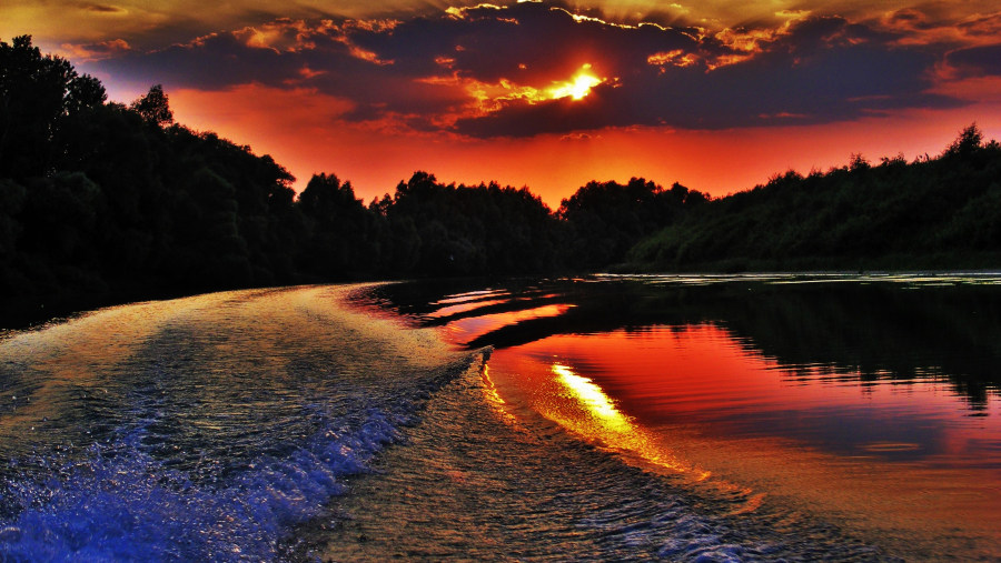 Danube Delta