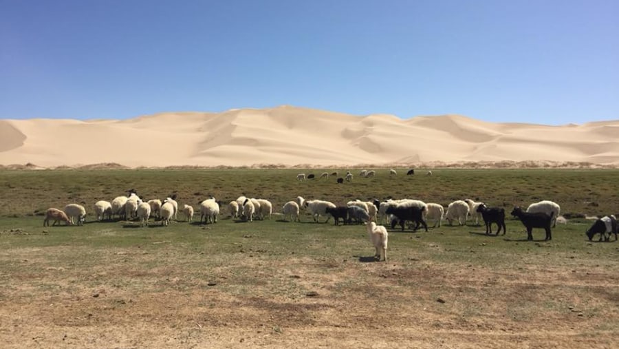 Gobi Desert