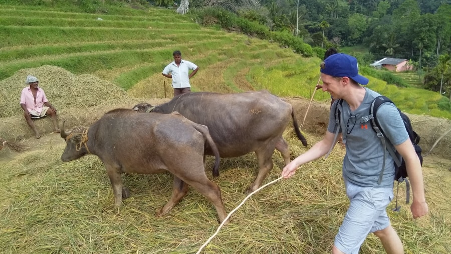 Village experience in the Knuckles Mountain Range