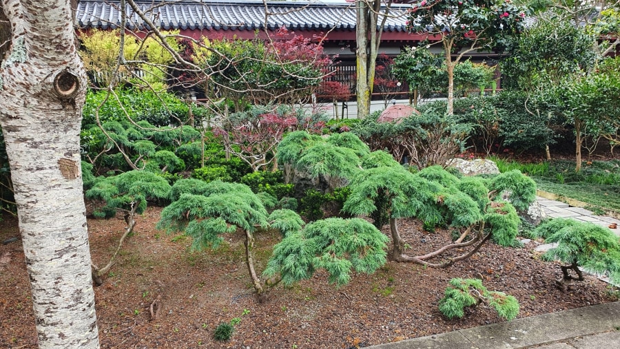 Garden at Foguangshan Temple