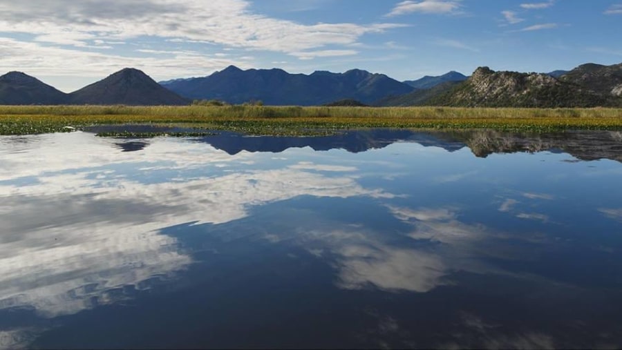 Beauty of the lake