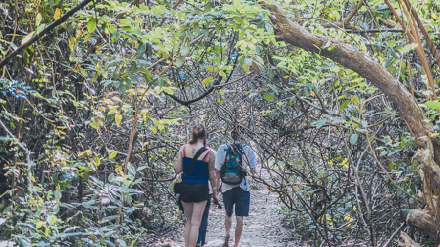 A view of the trail