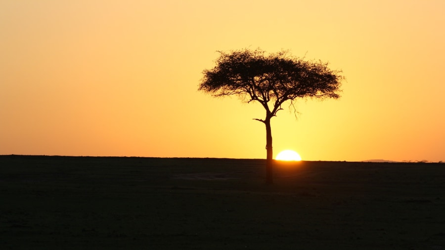 Admire the stunning sunsets at the Mara