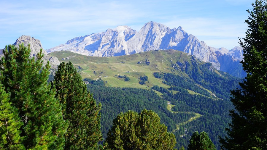 Marmolada