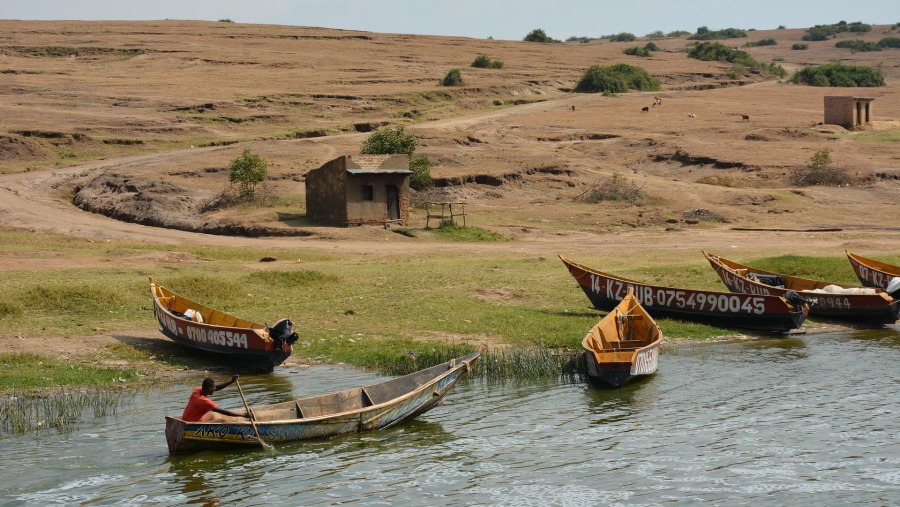 Board a boat ride in Queen Elizabeth National Park, Uganda