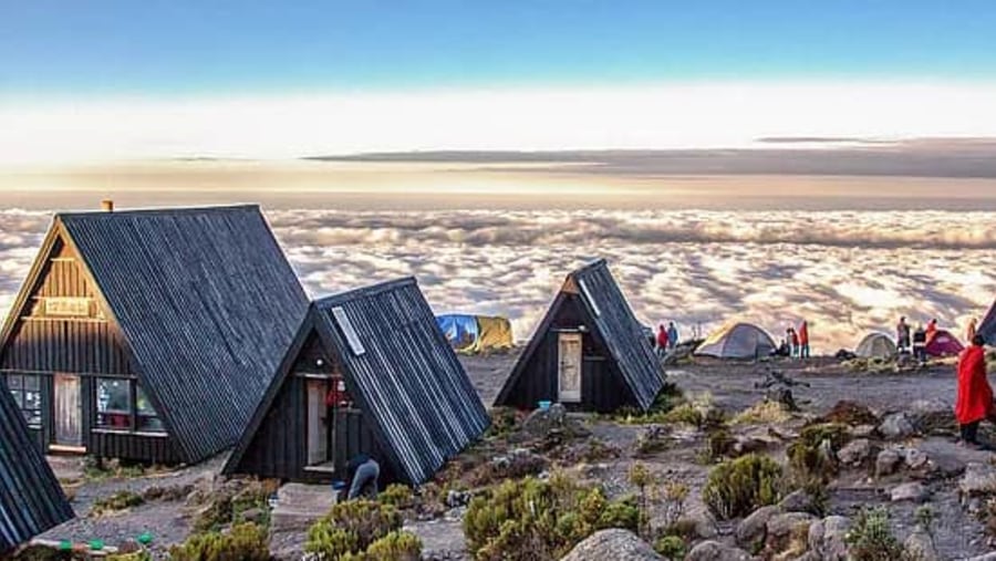 Embark on a Trek to Kilimanjaro