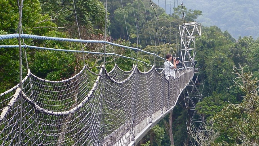 Nyungwe Forest National Park