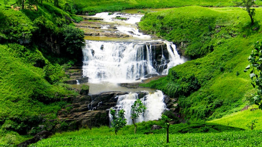 Go to St. Claire's Falls in Nuwara Eliya