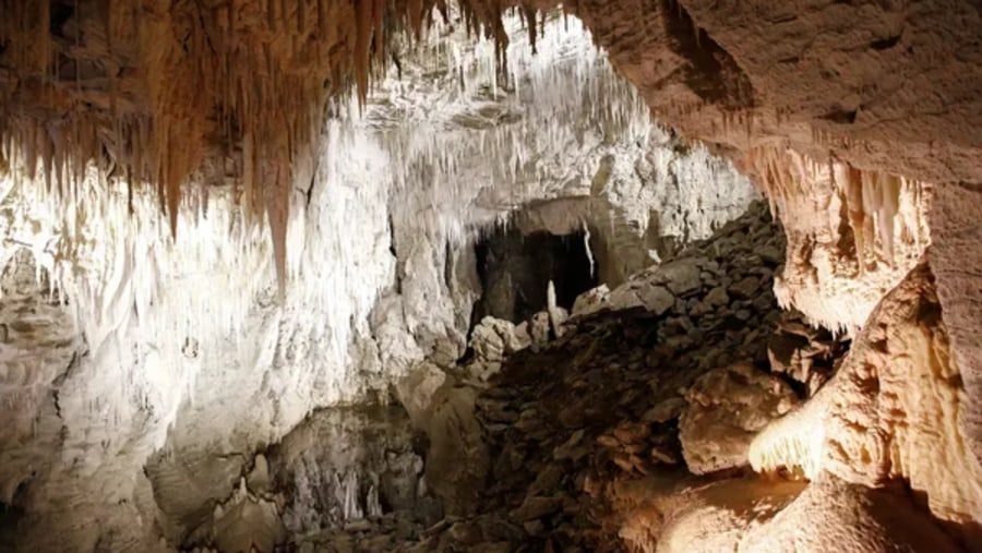 Waitomo Glowworm Caves