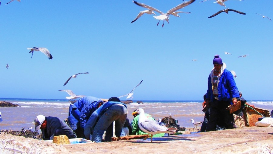 Essaouira